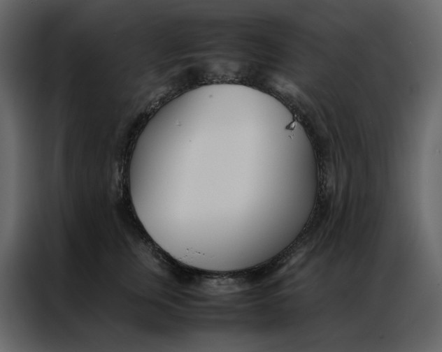 X0000086990759200705071436