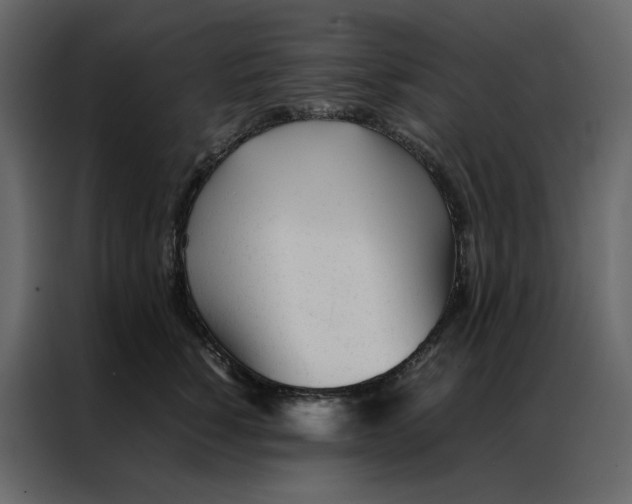 X0000086990760200705071436