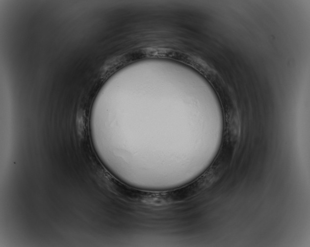 X0000086990761200705071436