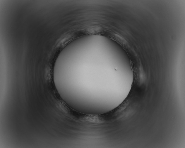 X0000086990762200705071436