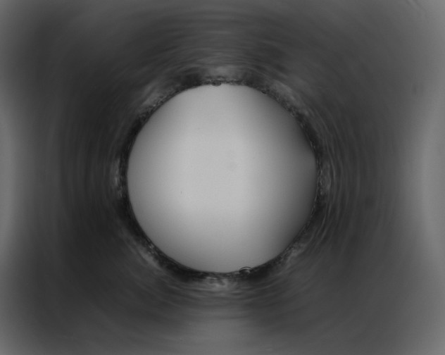 X0000086990764200705071436