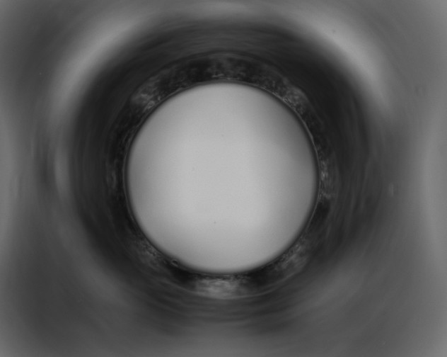 X0000086990765200705071436