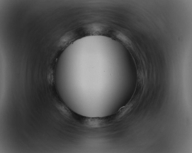 X0000086990766200705071436