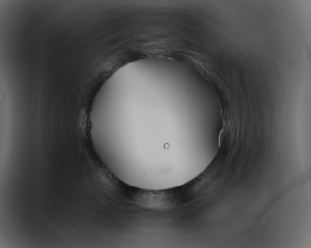 X0000086990767200705071436