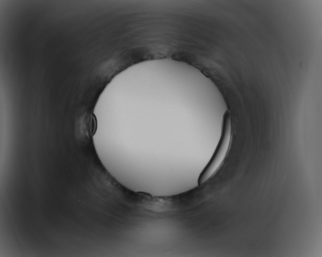 X0000086990768200705071436