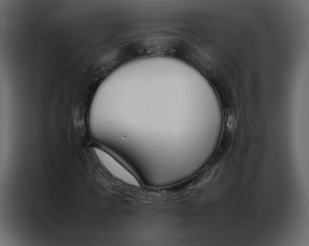 X0000086990771200705071436