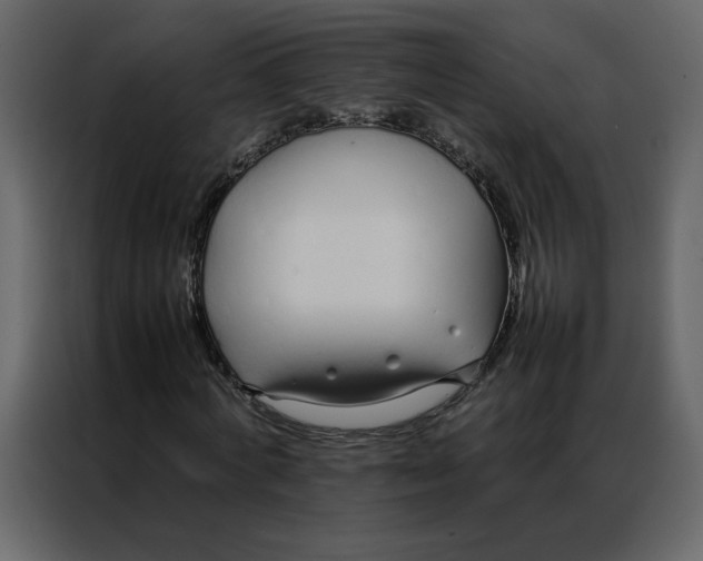 X0000086990772200705071436