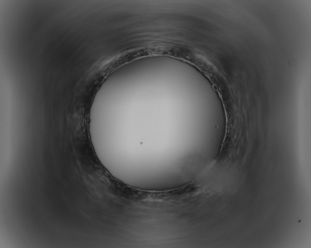 X0000086990773200705071436