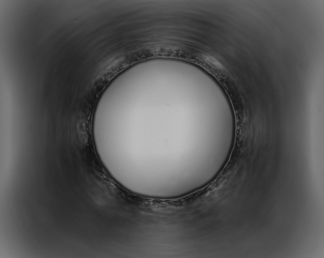 X0000086990774200705071436