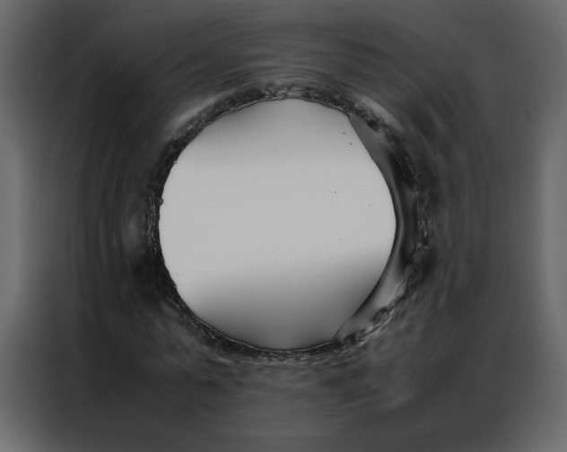 X0000086990775200705071436