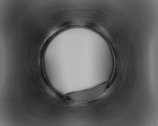 X0000086990779200705071436