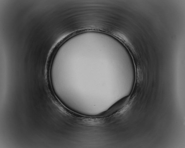 X0000086990780200705071436