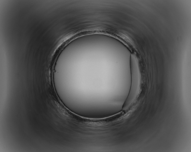 X0000086990781200705071436