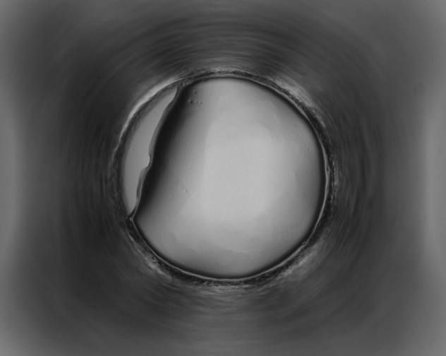 X0000086990782200705071436