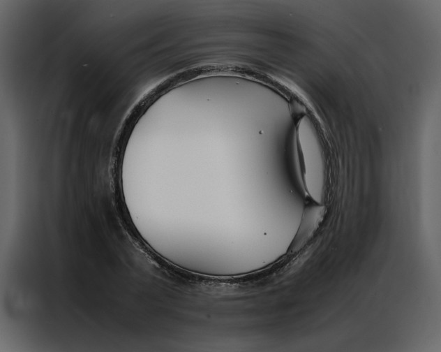 X0000086990783200705071436