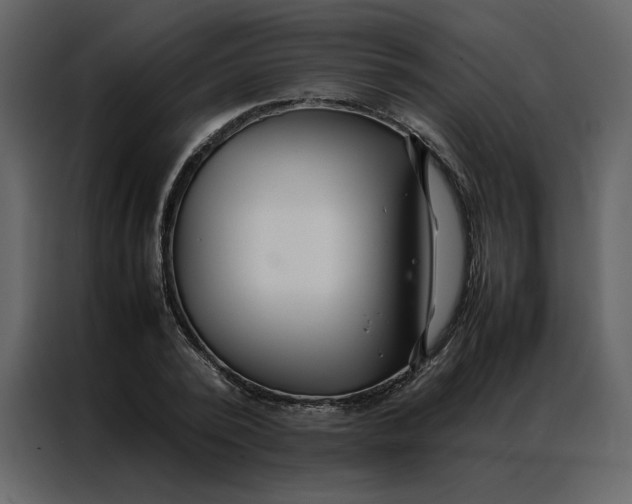 X0000086990784200705071436