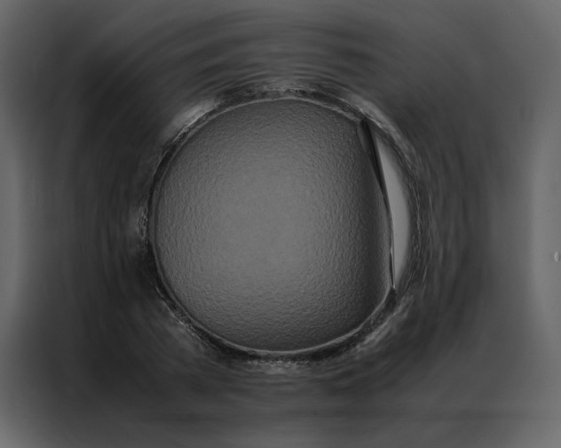 X0000086990785200705071436