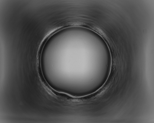 X0000086990787200705071436