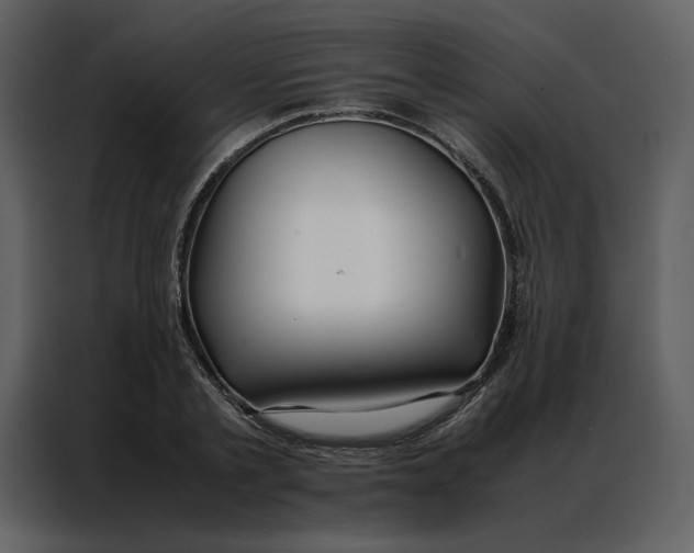 X0000086990789200705071436