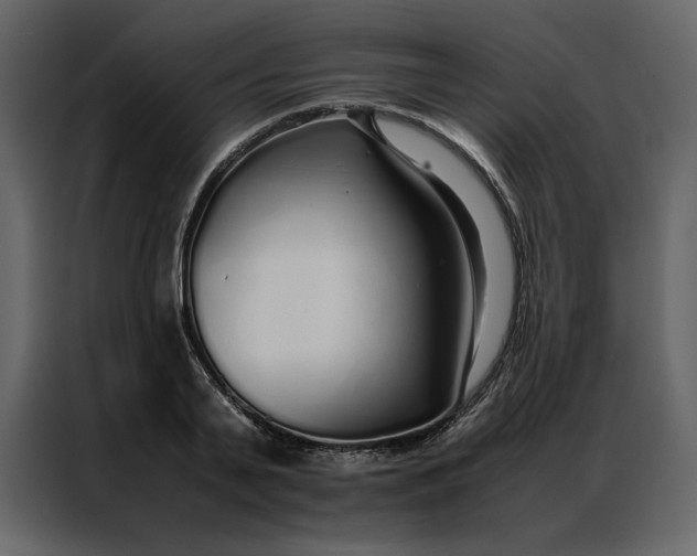 X0000086990791200705071435