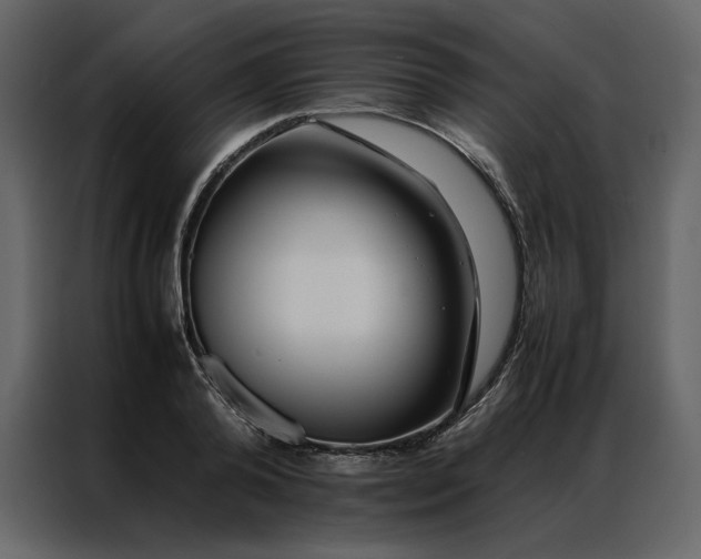 X0000086990792200705071435