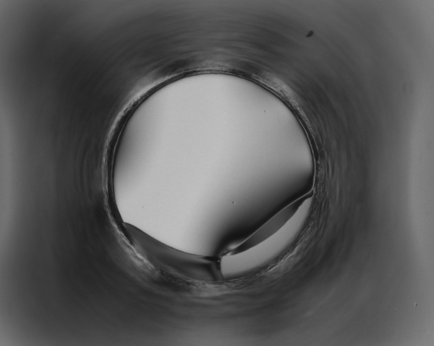 X0000086990795200705071435