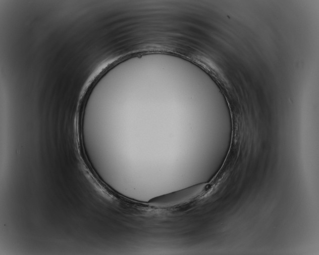 X0000086990796200705071435