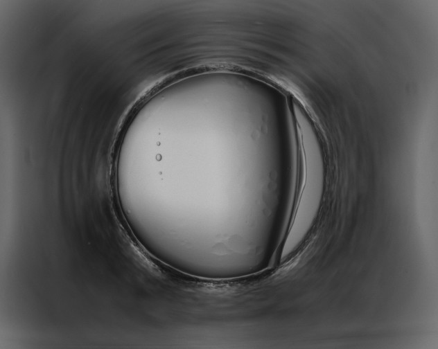 X0000086990799200705071435