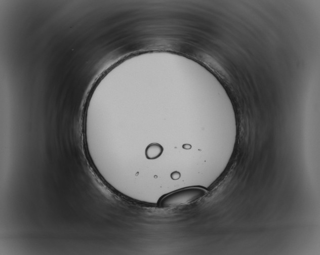 X0000086990800200705071435