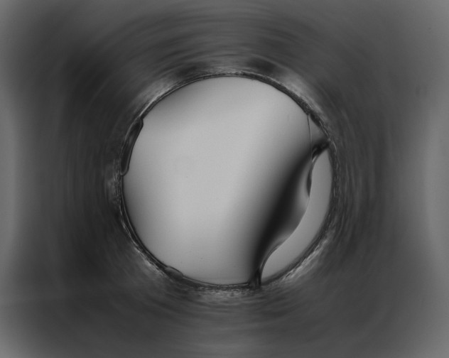 X0000086990801200705071435