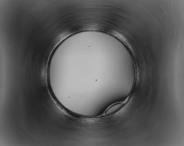 X0000086990802200705071435