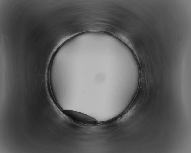 X0000086990803200705071435