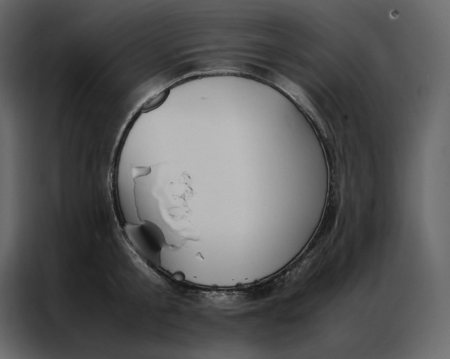 X0000086990805200705071435