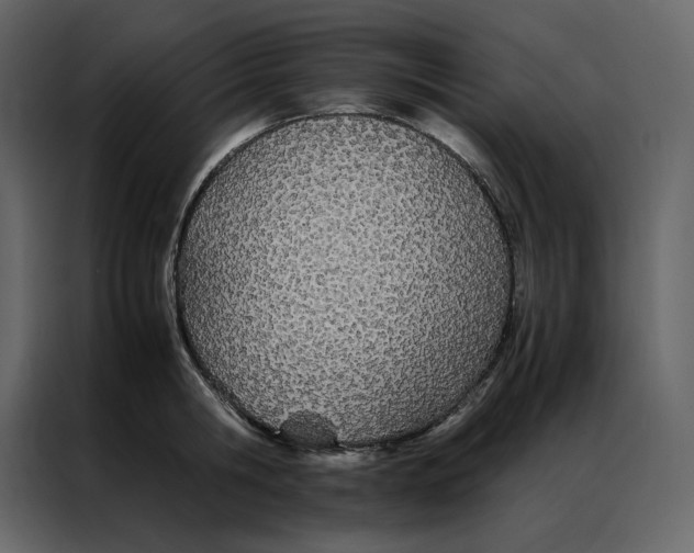 X0000086990806200705071435