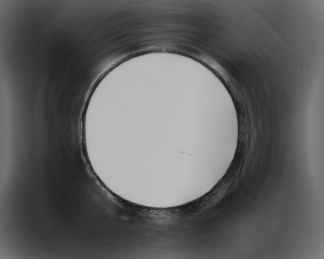 X0000086990807200705071435