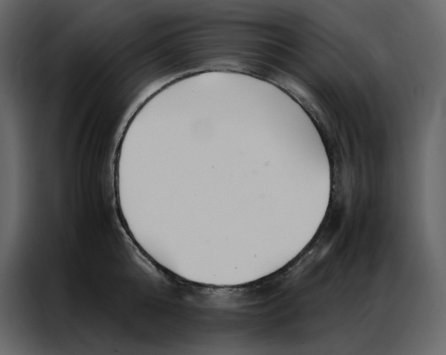 X0000086990808200705071435