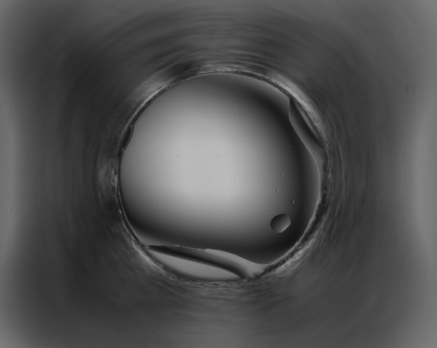 X0000086990809200705071435