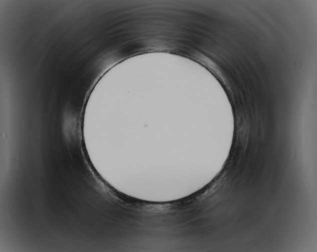 X0000086990810200705071435