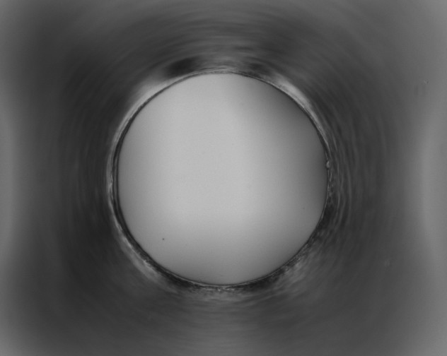 X0000086990811200705071435