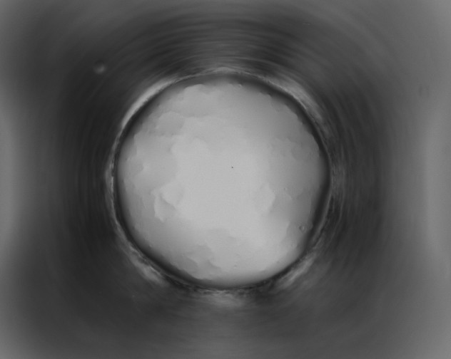 X0000086990814200705071435