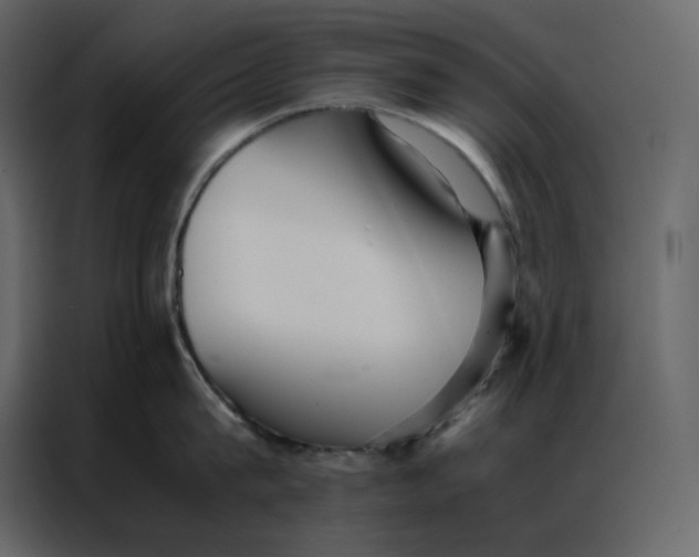 X0000086990815200705071435