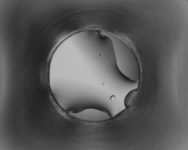 X0000086990816200705071435