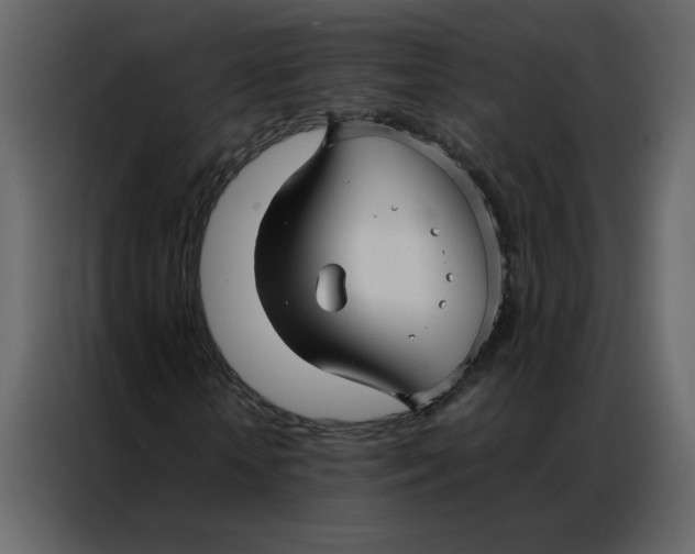 X0000086990818200705071435