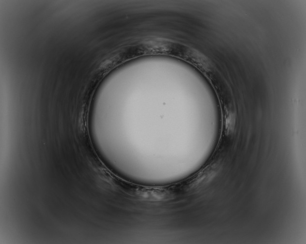 X0000086990819200705071435