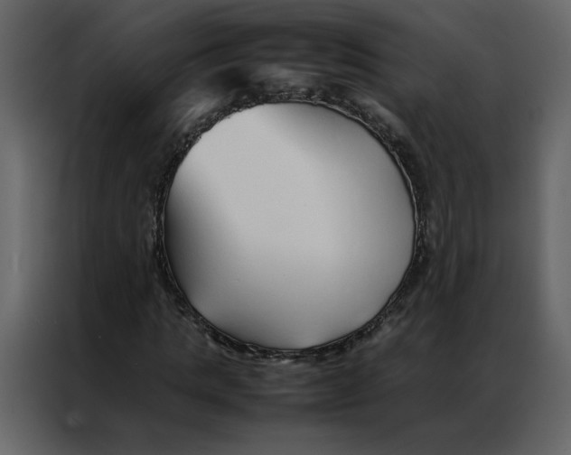 X0000086990821200705071435