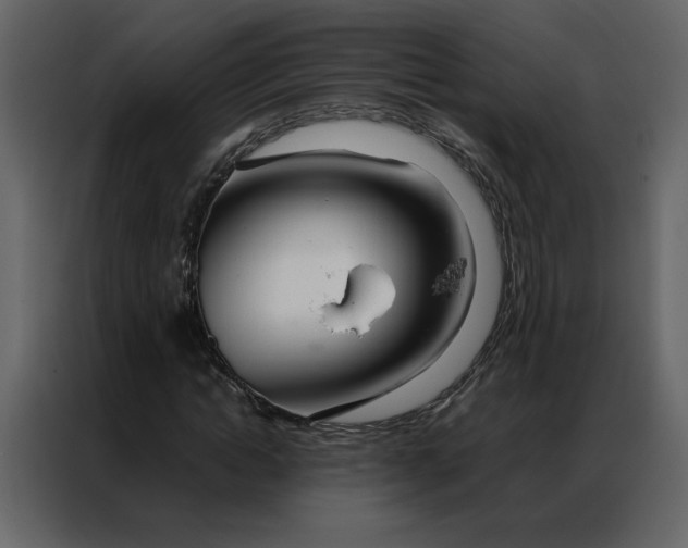 X0000086990822200705071435