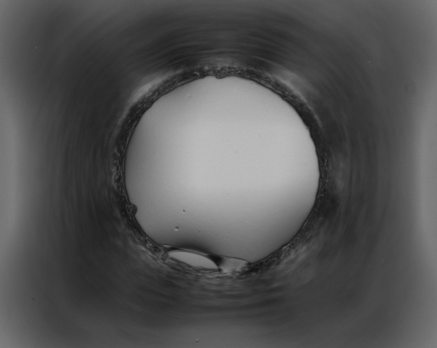 X0000086990823200705071435