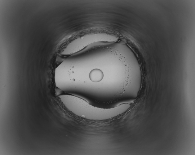 X0000086990824200705071435