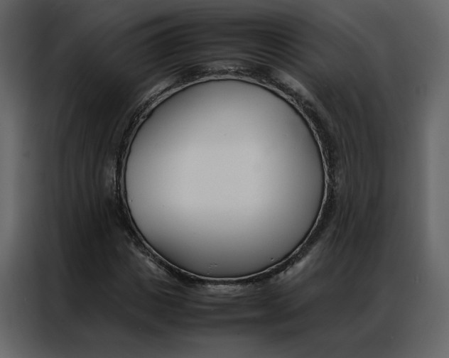 X0000086990825200705071435