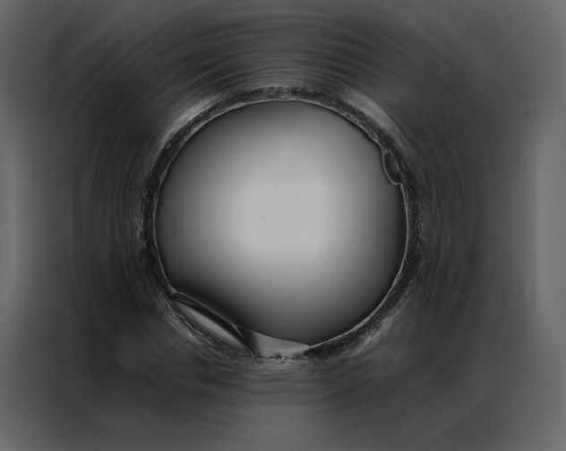 X0000086990826200705071435